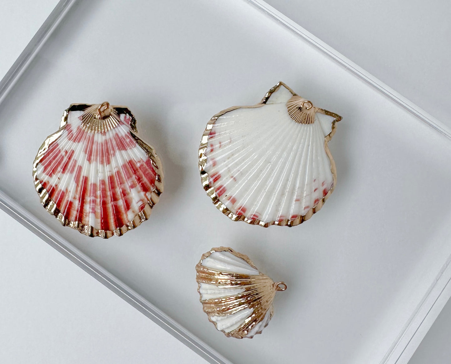 Shell charms