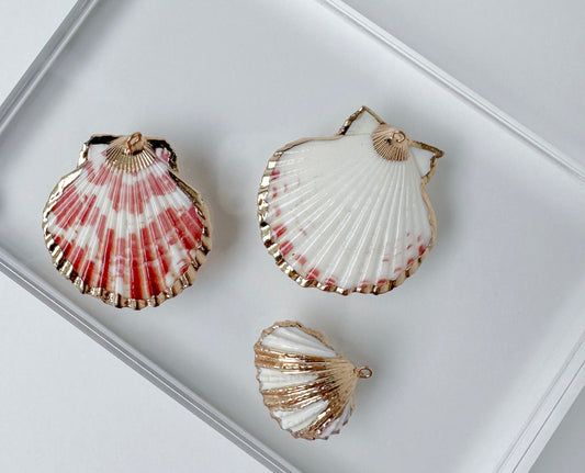 Shell charms