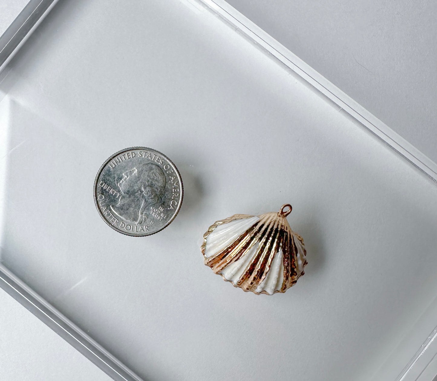 Shell charms