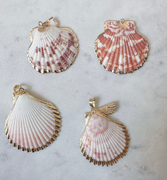 Sea Shell charms