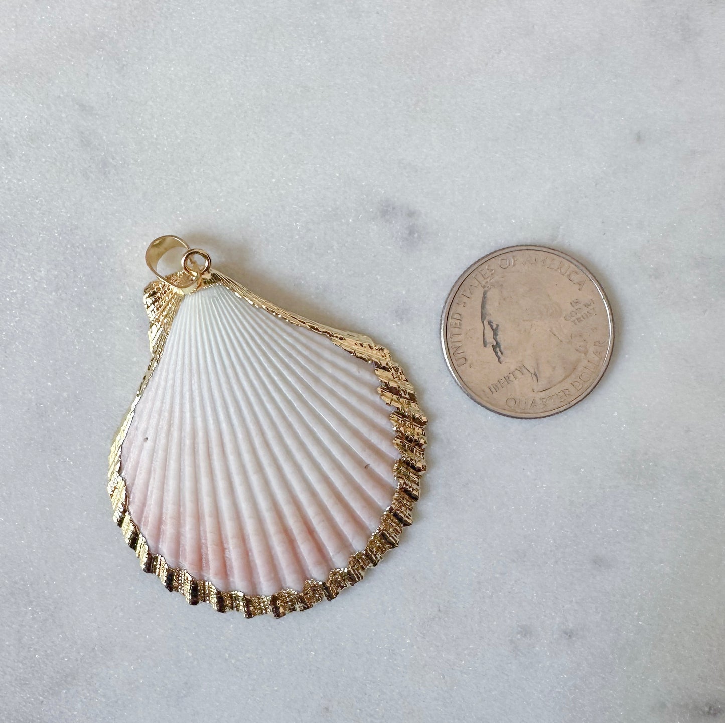 Sea Shell charms