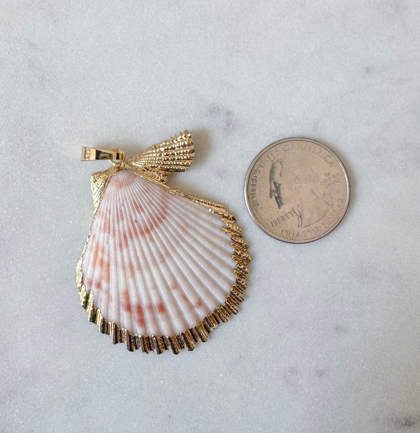 Sea Shell charms