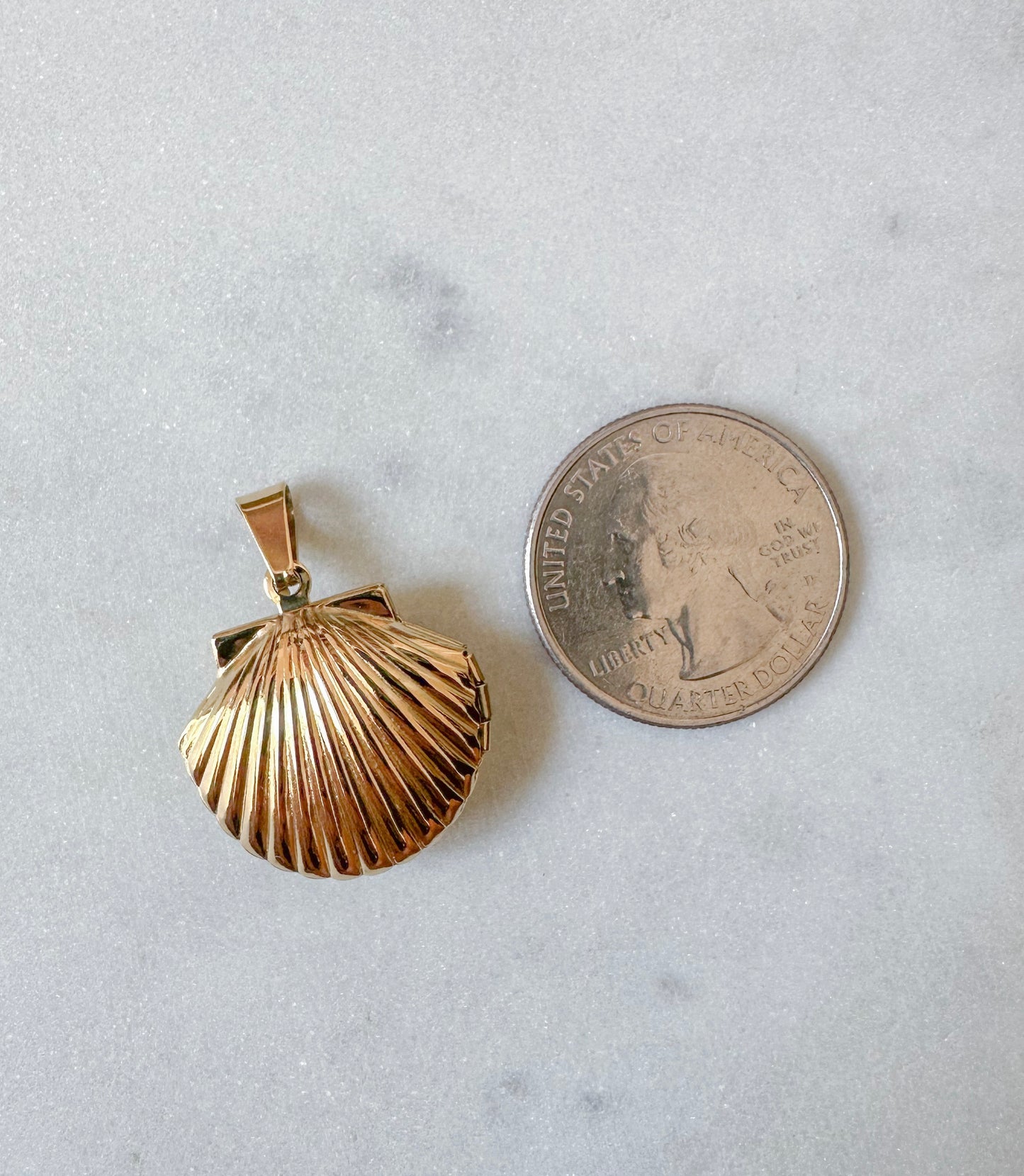 Shell Charm