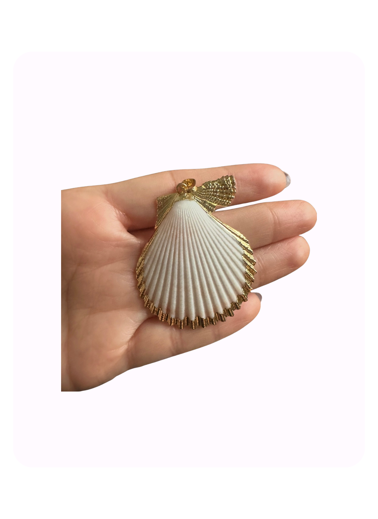 Sea Shell