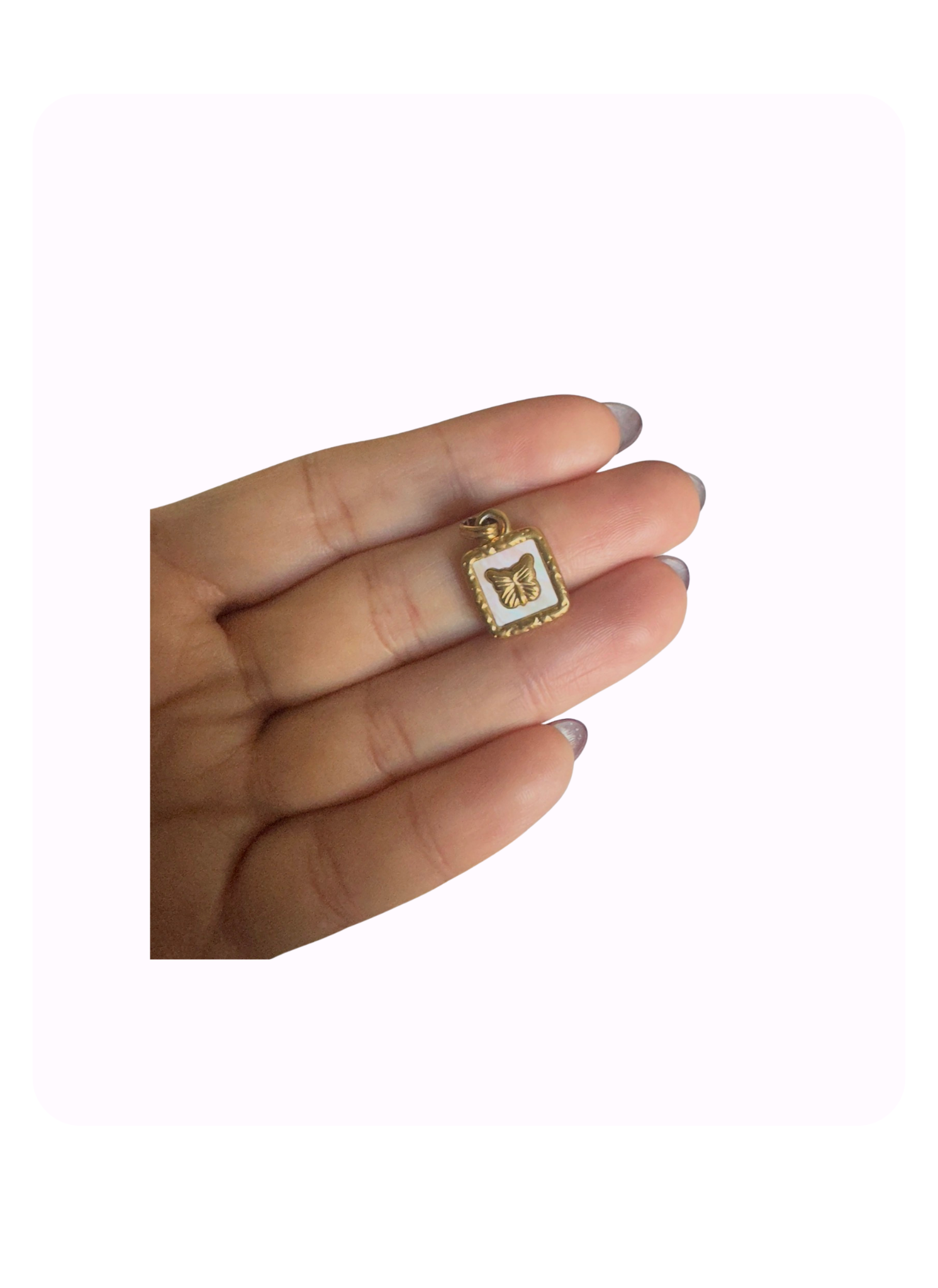 Butterfly Collection