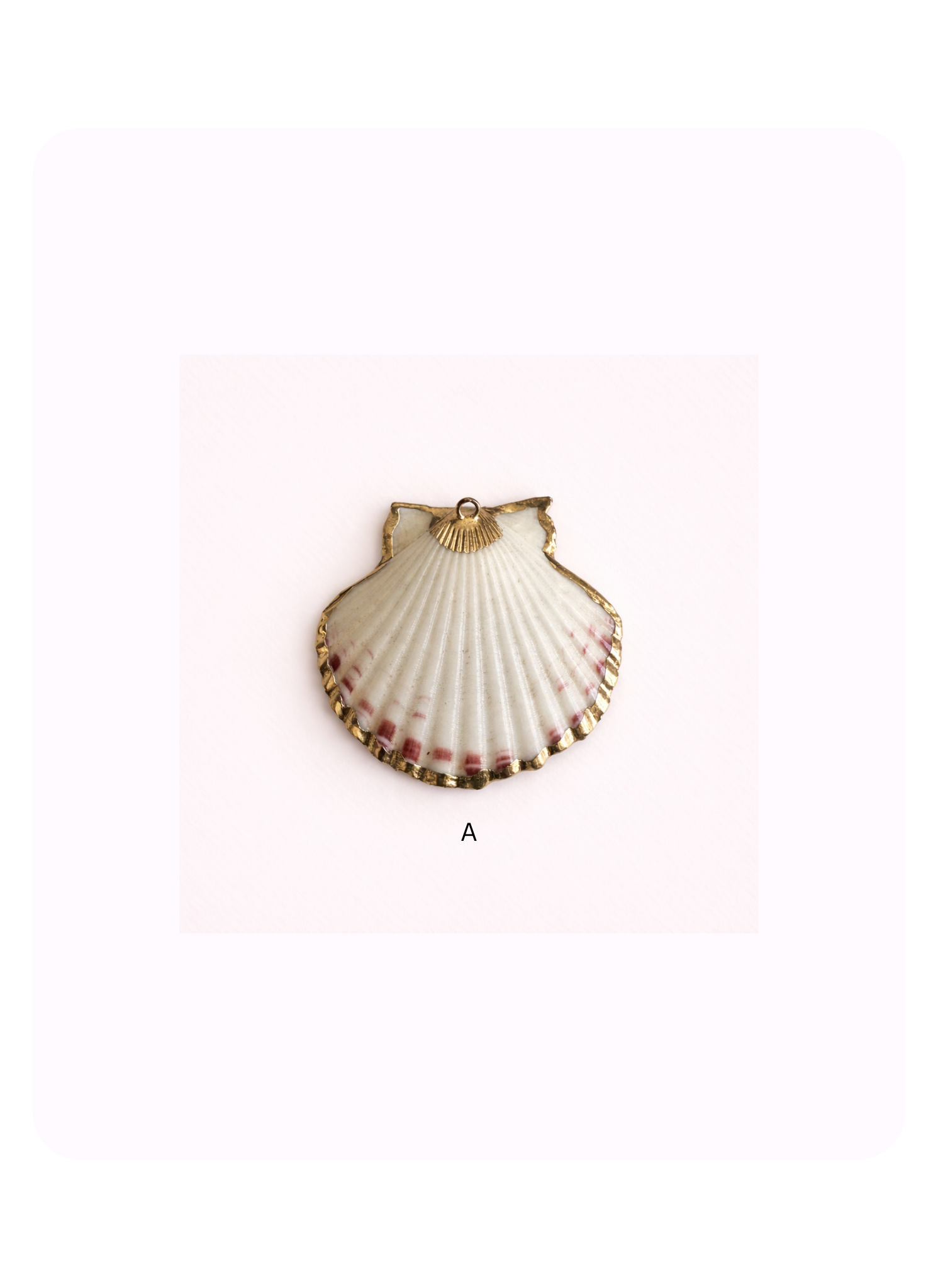 Sea Shell