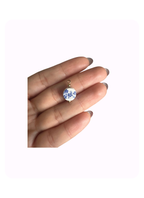 Bloom & Blue Collection