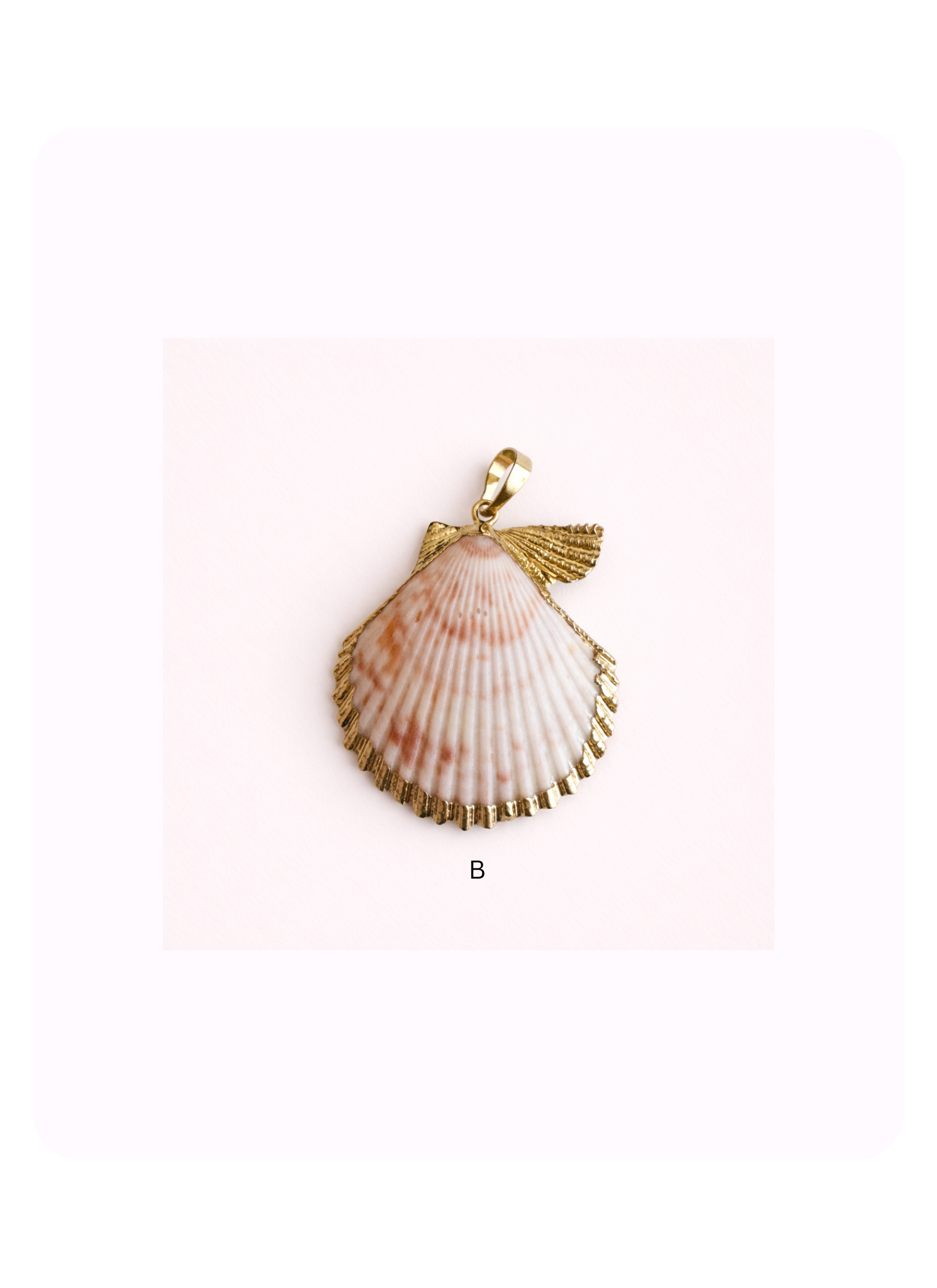 Sea Shell