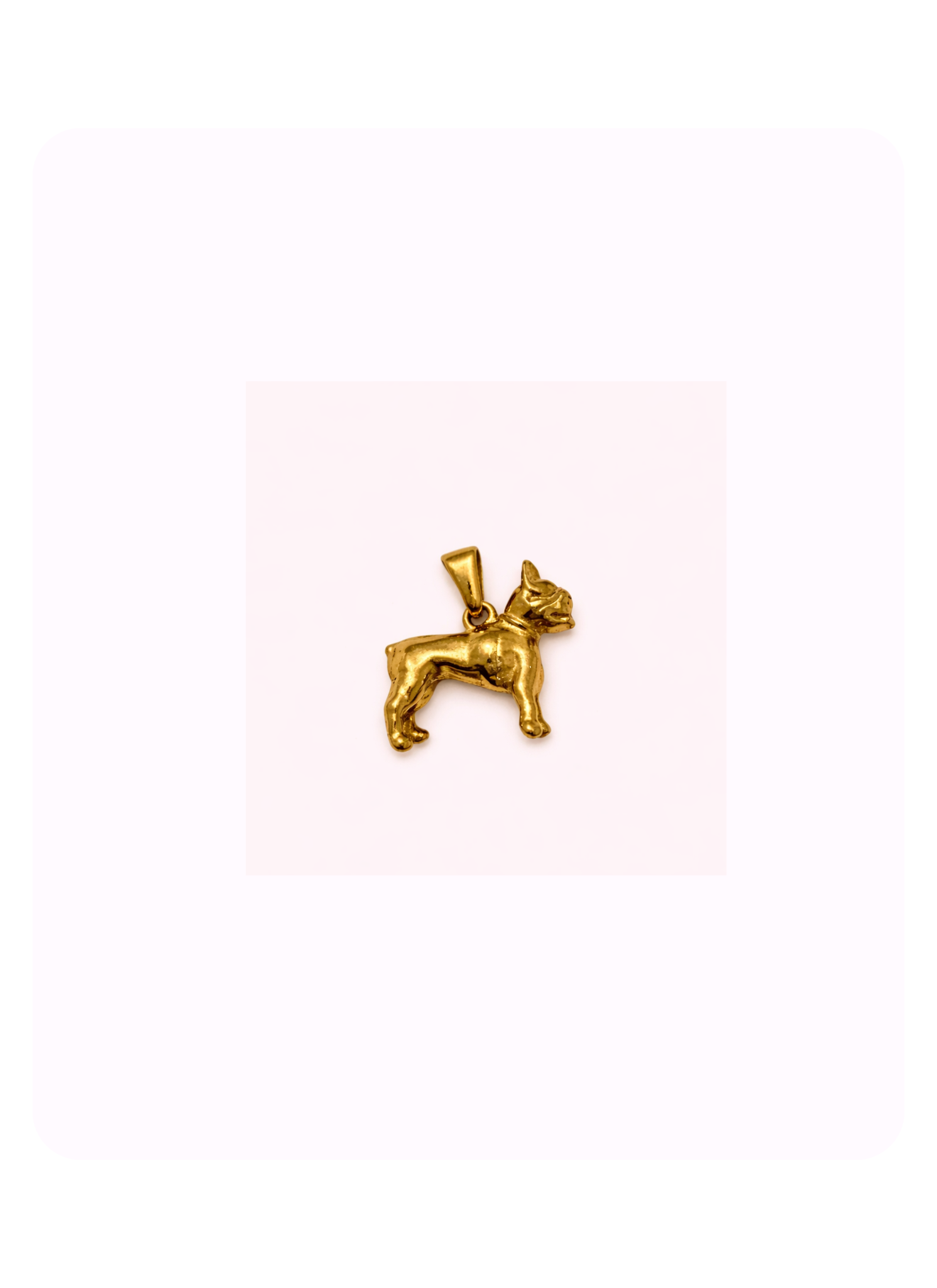 Bulldog (Gold)