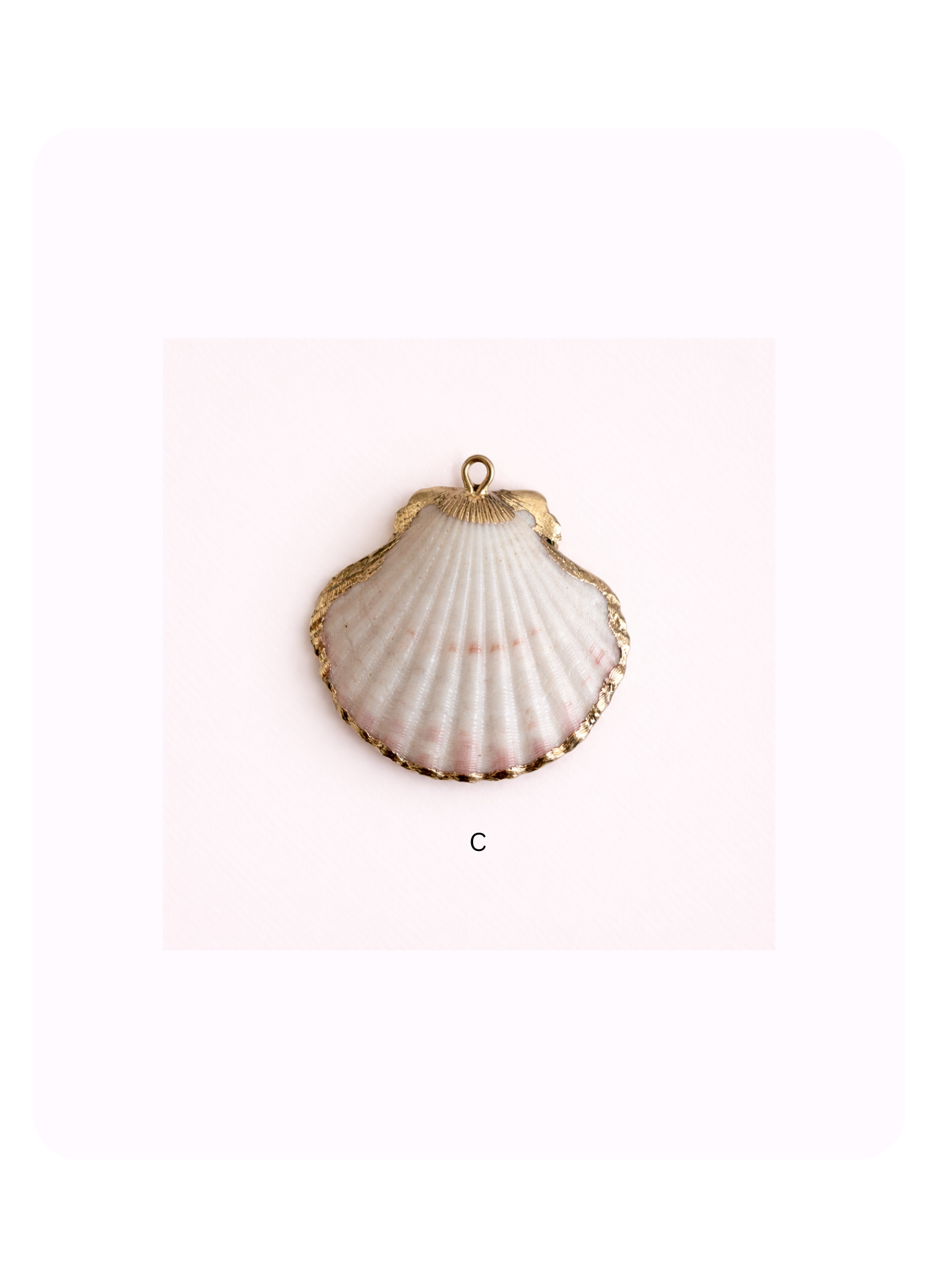 Sea Shell