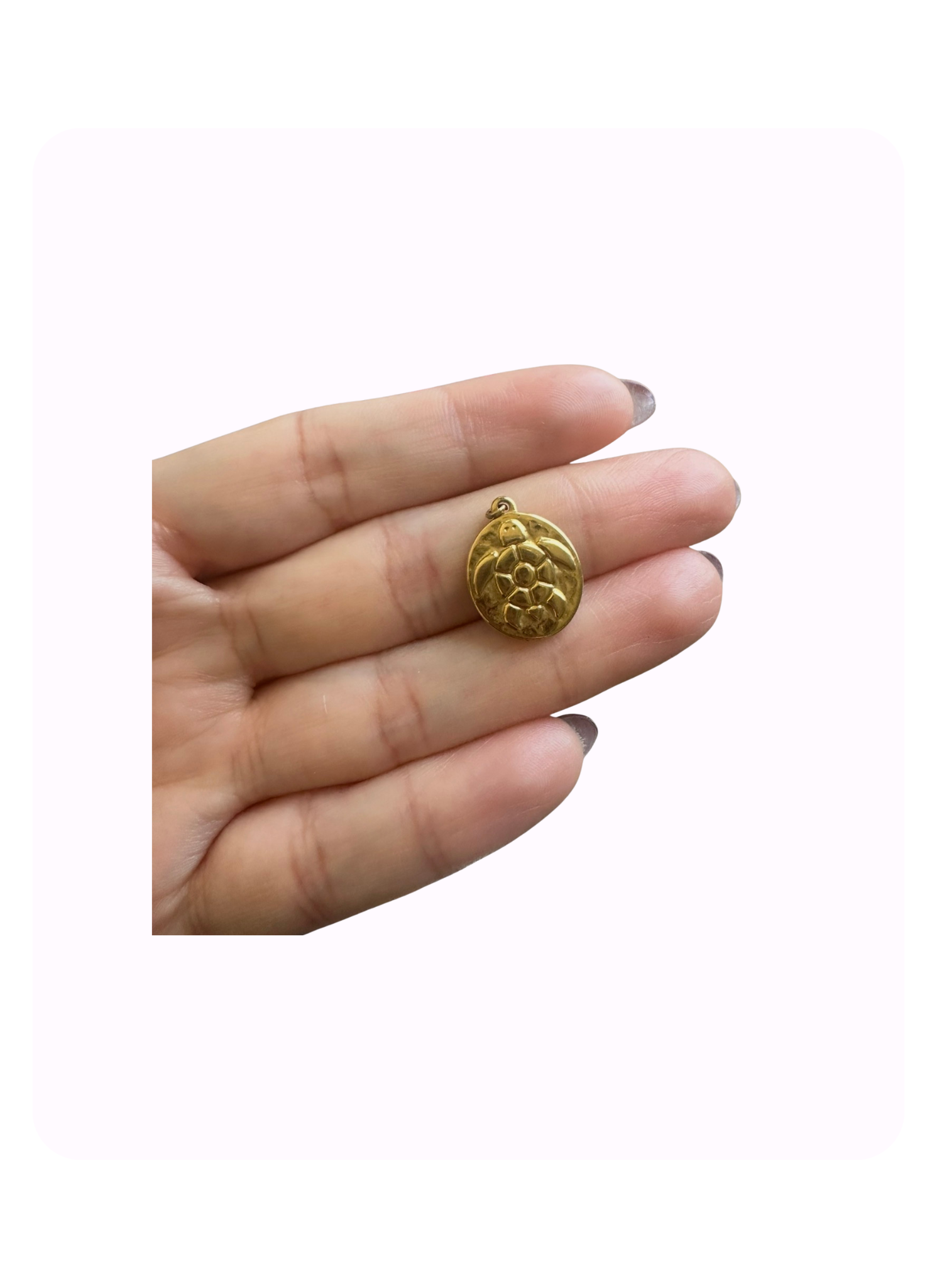 Golden Coast Collection