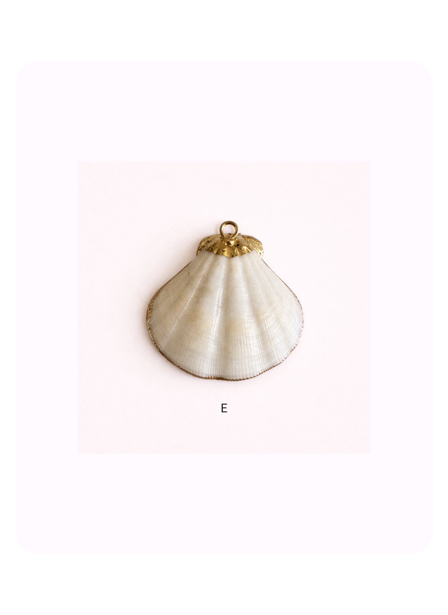 Sea Shell