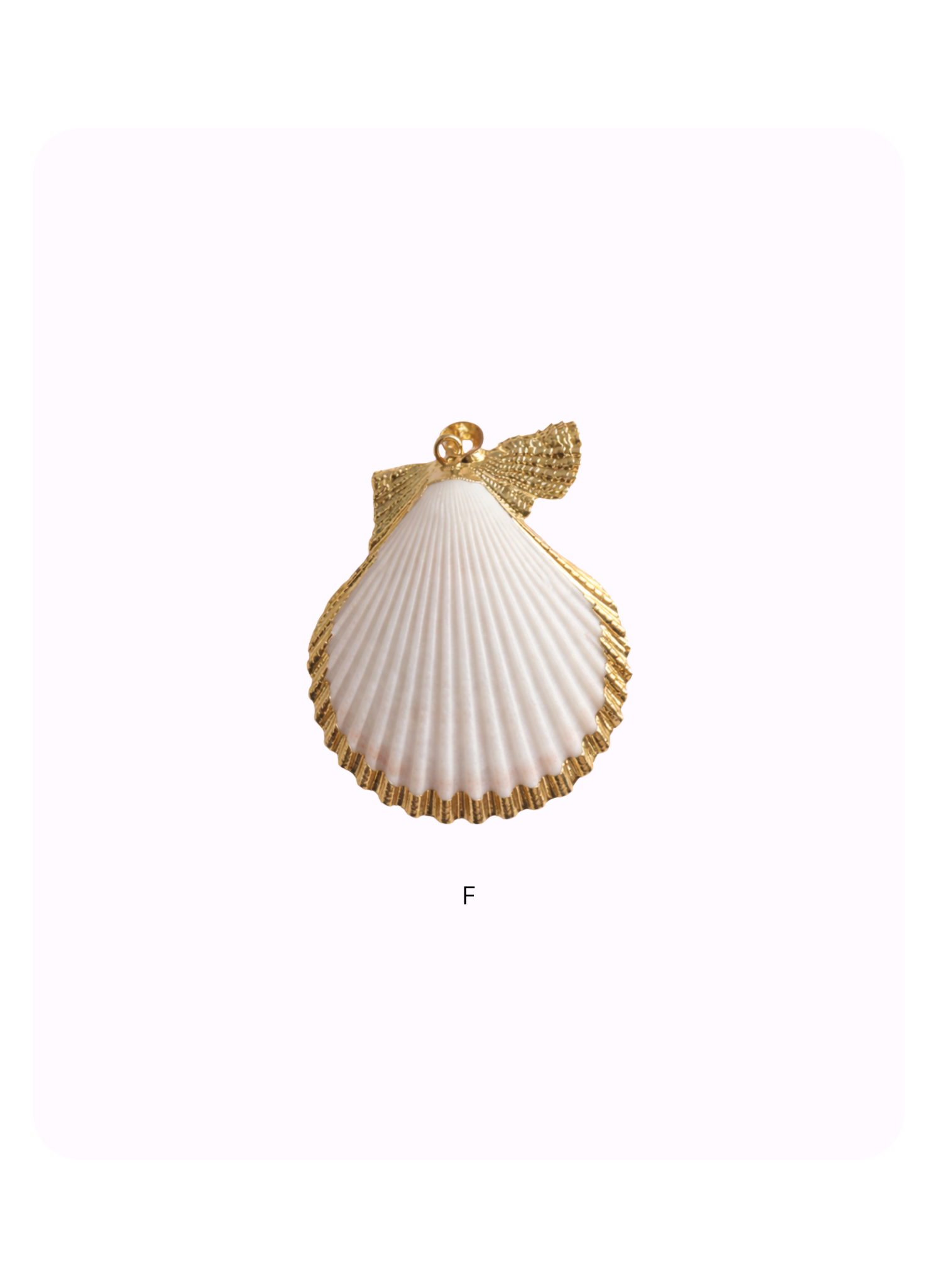 Sea Shell