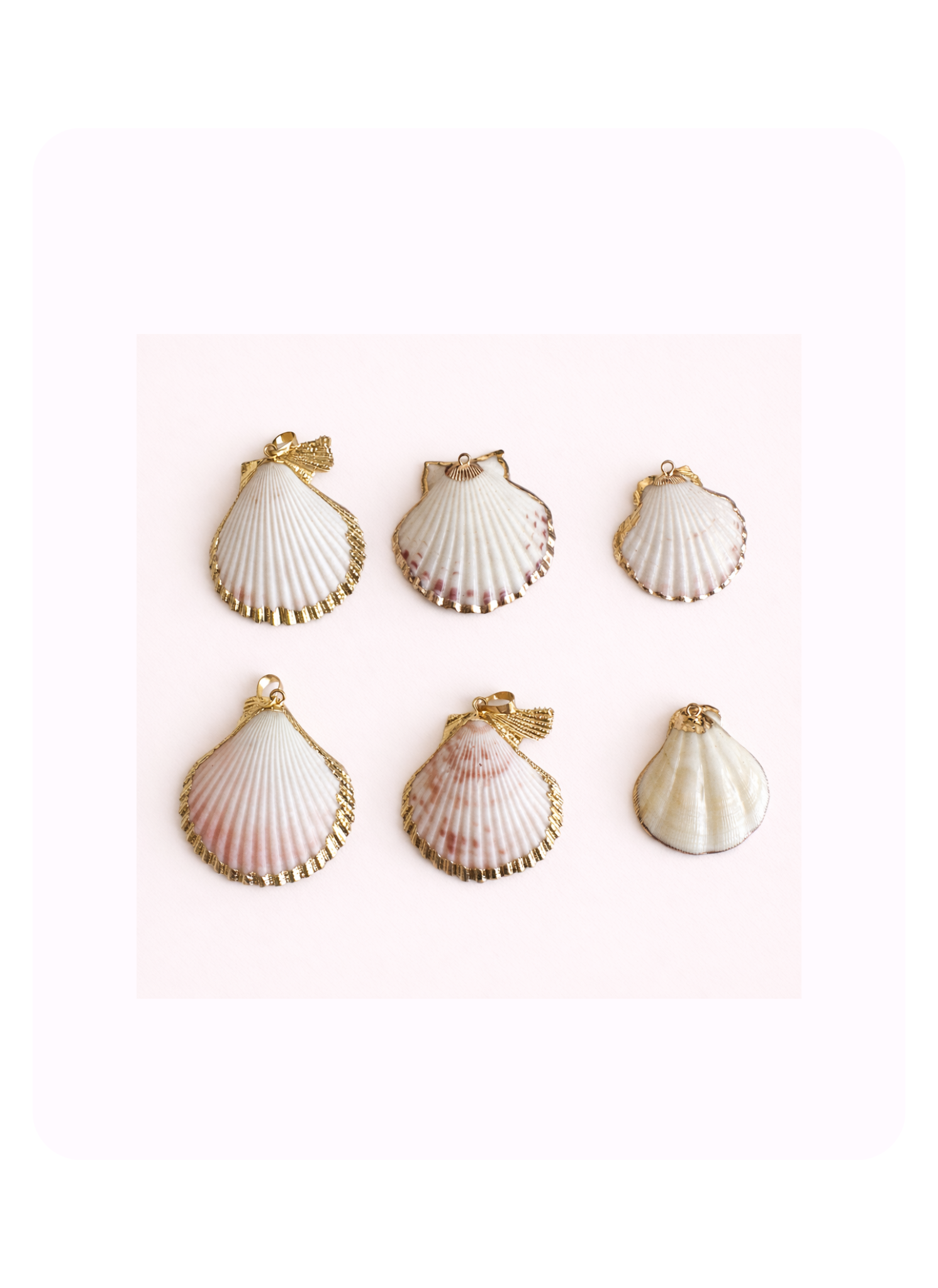 Sea Shell