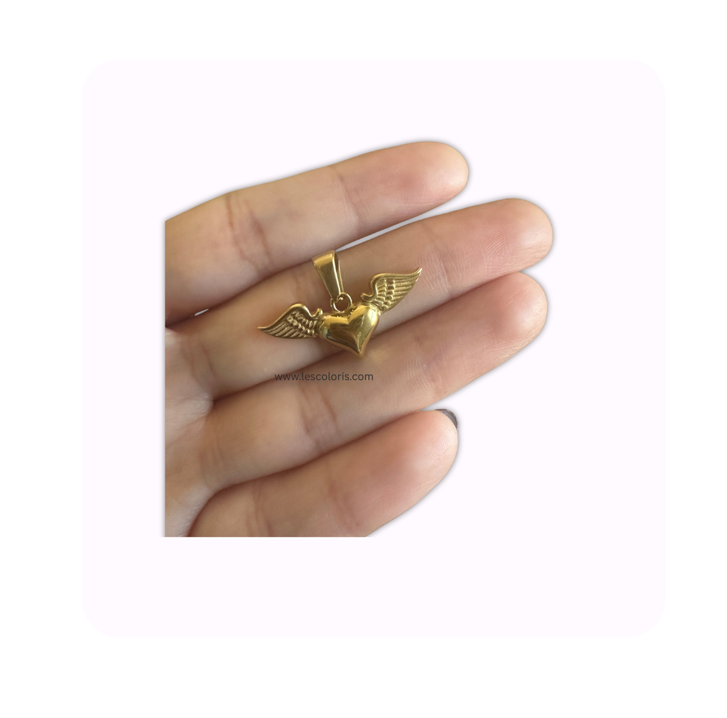 Guardian Heart Wings