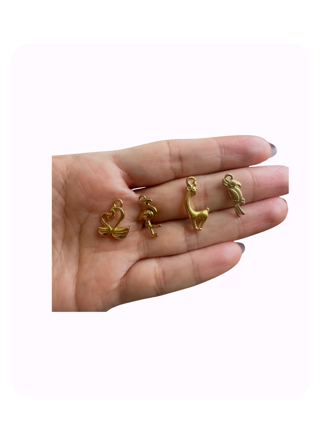 Animal Friends Collection