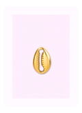 Cowrie Shell Charm